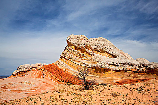 彩色,岩石构造,白色,朱红色,悬崖,自然遗产,亚利桑那,北美,美国