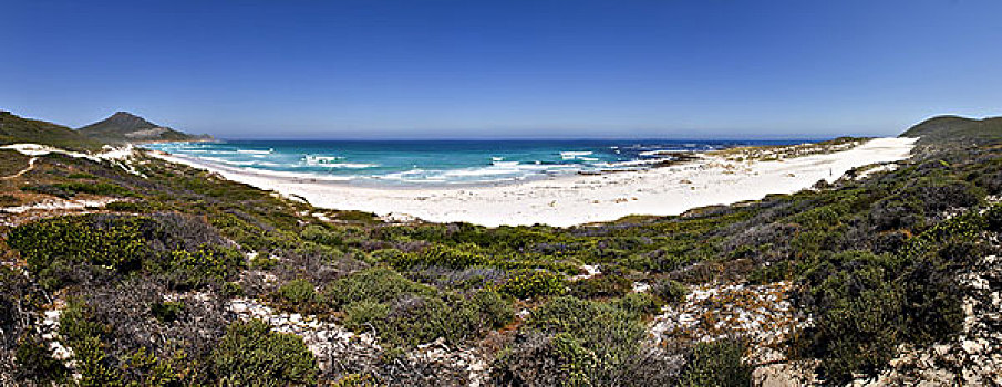 南非,西海角,岬角,半岛,海边风景