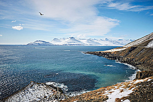 冰岛,风景,东方,峡湾,雪山,远景,蓝天