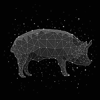 合成效果,图像,星座,猪,黑色背景