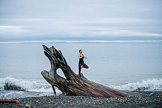成年,女人,练习,瑜珈,树,姿势,大,浮木,树干,海滩