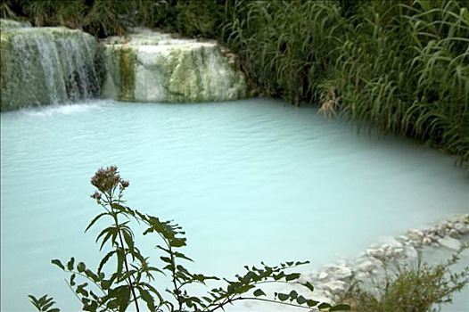 自然,水池,硫,沐浴,托斯卡纳,意大利