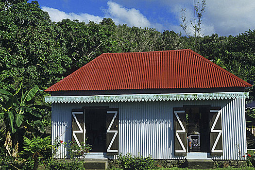 传统,房子,留尼汪岛