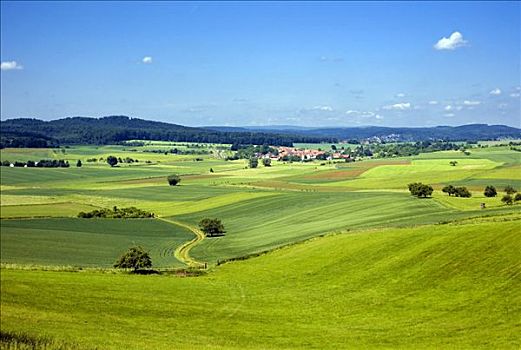 自然风光,景色,耕作,乡间小路,黑森州,德国,欧洲