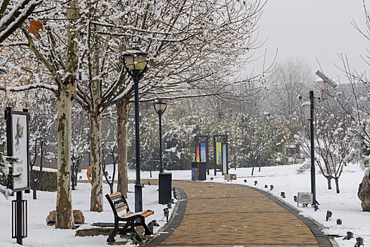 河北省石家庄正定县,云居湖公园雪景