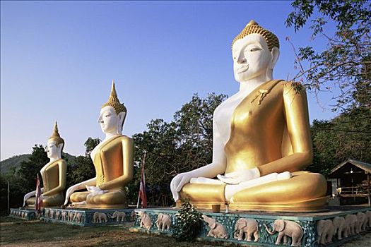 泰国,庙宇,佛像