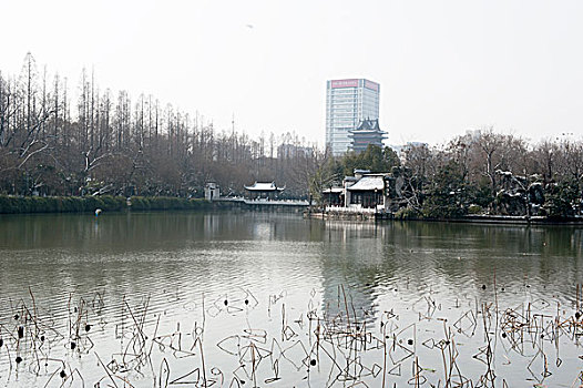 合肥包河公园雪景