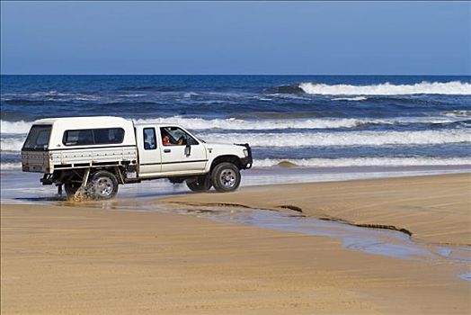 野外,皮卡,驾驶,海滩,弗雷泽岛,昆士兰,澳大利亚