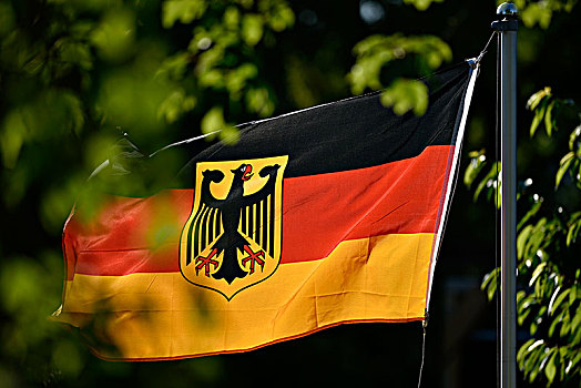 德国国旗,联邦,鹰,德国,欧洲
