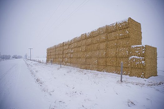 干草堆,路边,雪中,蒙大拿,美国