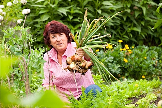 女人,收获,洋葱,花园