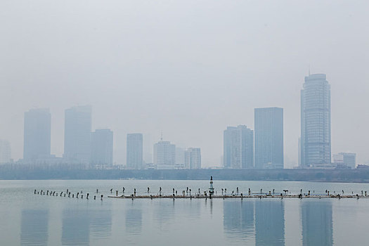 雾霭中的江苏南京玄武湖公园