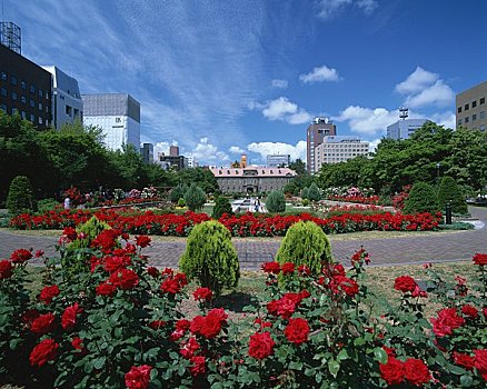 大通公园,札幌,资源,中心