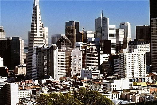 建筑,城市,旧金山,加利福尼亚,美国