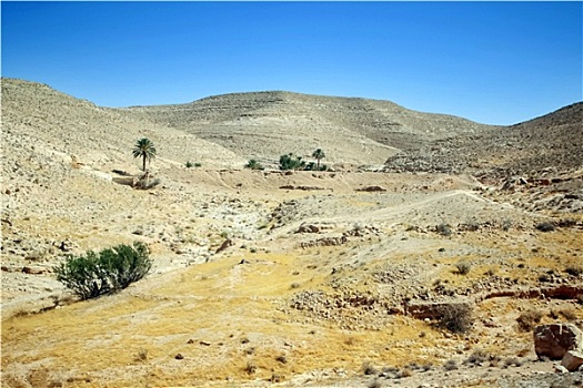 撒哈拉沙漠,突尼斯