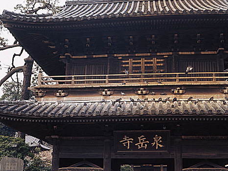 大门,铭刻,庙宇,国家,起点,日本
