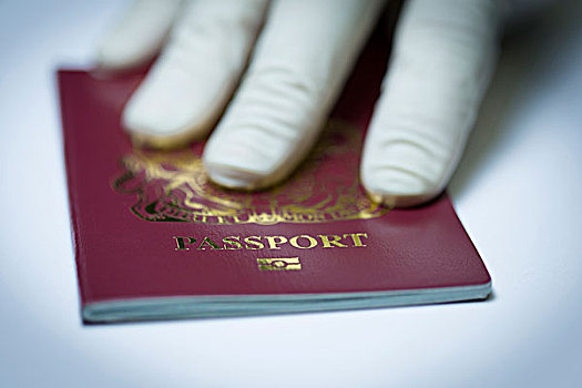 英国,护照,检查