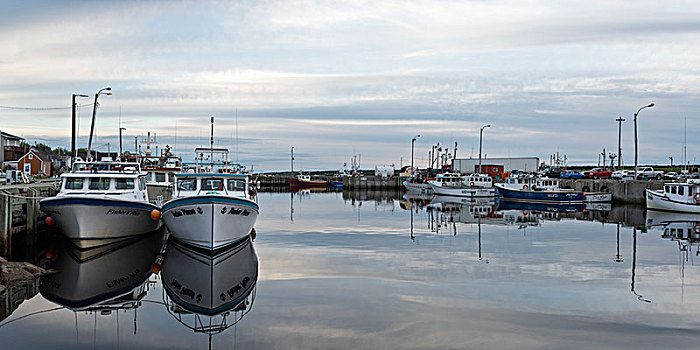 捕鱼,拖船,停泊,港口,布雷顿角岛,新斯科舍省,加拿大