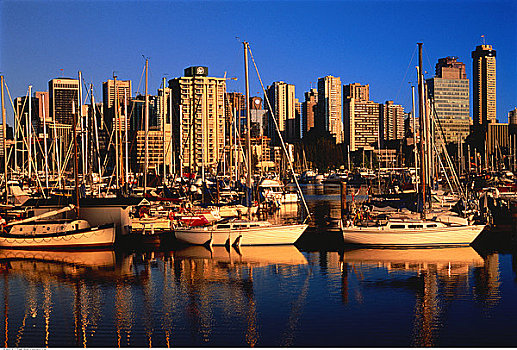 城市天际线,港口,温哥华,不列颠哥伦比亚省,加拿大