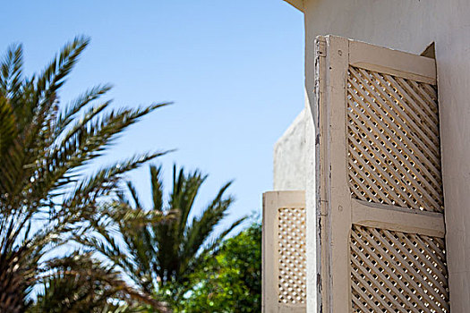 传统,窗户,突尼斯