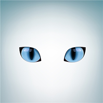 蓝色,猫,眼睛