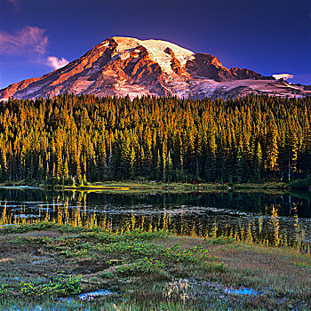 湖,山,背景,雷尼尔山,国家公园,华盛顿,美国