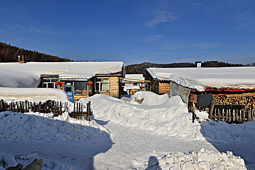 北方冬天雪景照片图片