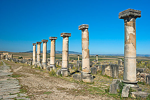 柱子,罗马毁灭,古老,住宅,城市,瓦卢比利斯,北方,摩洛哥,非洲