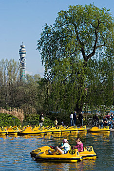 脚踏船,水塘,公园,伦敦