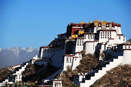2020年5月,西藏,阿里,珠峰,拉萨,布达拉宫,318国道