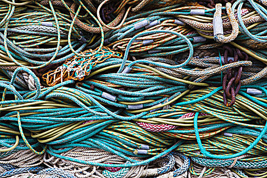 渔业,网