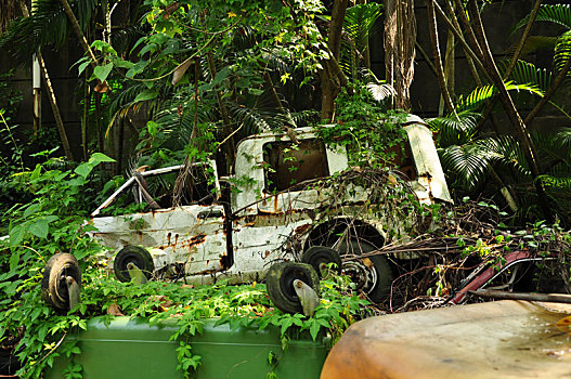 废弃的台北松山烟厂,杂乱的植物堆里废弃的车子