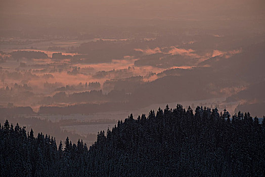 早晨,风景,山谷,冬天,巴特特尔茨,巴伐利亚阿尔卑斯山,巴伐利亚,德国