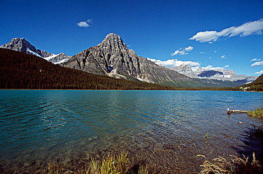 山峦,湖,弓湖,班芙国家公园,艾伯塔省,加拿大