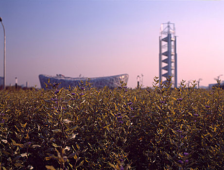 北京鸟巢和玲珑塔
