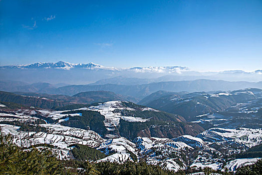 云南东川红土地,打马坎,雪后梯田