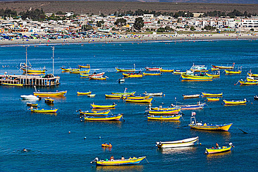 智利,俯视图,渔船