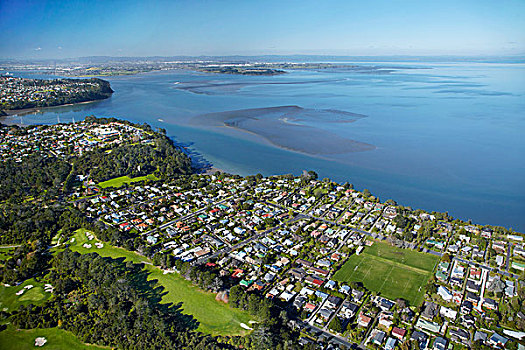 高尔夫球场,绿色,湾,港口,奥克兰,北岛,新西兰