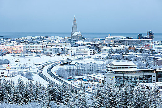 城市,雷克雅未克,冰岛,冬天,海洋,远景