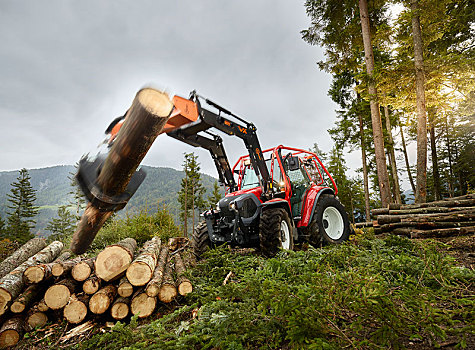 林业,工作,拖拉机,移动,树干,一堆,木头,提洛尔,奥地利,欧洲