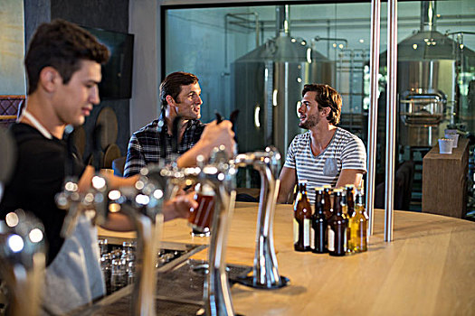 男性,朋友,享受,啤酒,酒吧,白人,坐,吧台