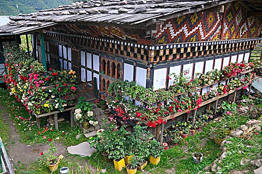 不丹,布姆唐,传统,住房,花,罐