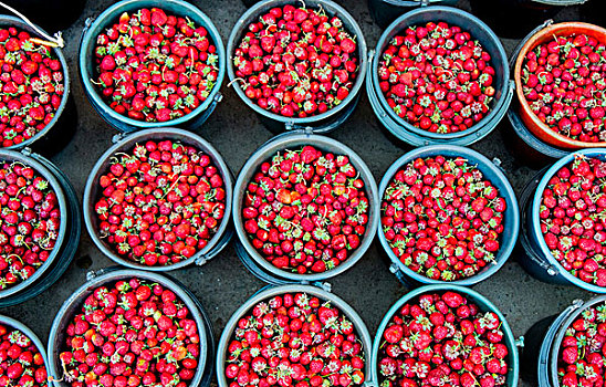 俯视,新鲜,草莓,桶,市场货摊,吉尔吉斯斯坦,中亚