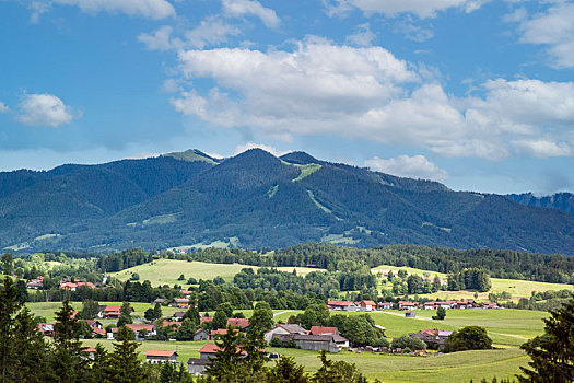 瑞士高山草甸田园风光