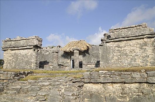 房子,水,建筑,玛雅,考古,挖掘,尤卡坦半岛,墨西哥,中美洲