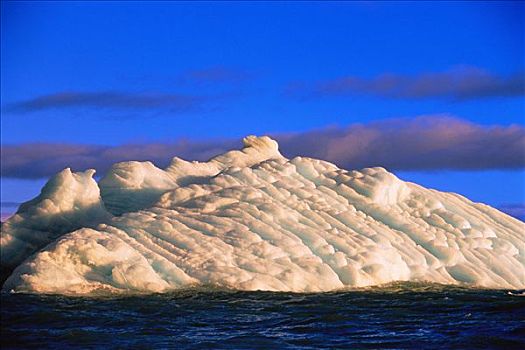 冰山,格雷斯海湾,加拿大