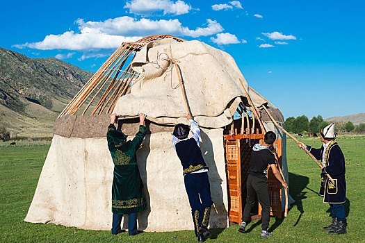 男人,放,向上,蒙古包,乡村,掸邦,山,哈萨克斯坦,亚洲