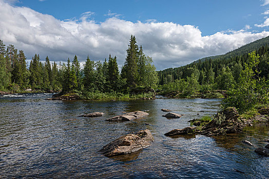 风景,三文鱼,河,北特伦德拉格,挪威,欧洲