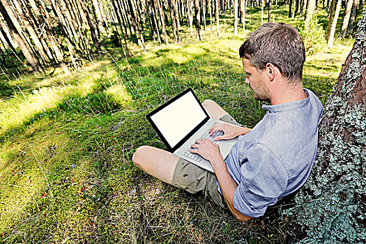 男人,坐,树,树林,工作,笔记本电脑