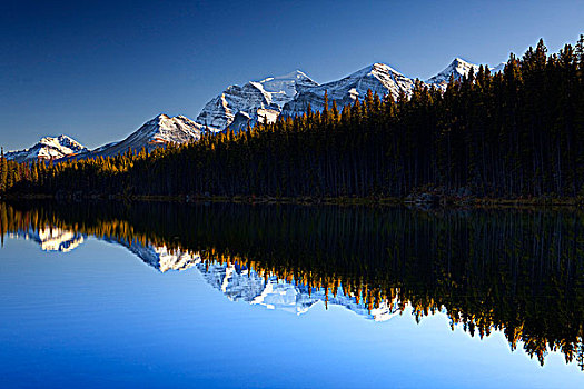 反射,山峦,树,湖,班芙,班芙国家公园,艾伯塔省,加拿大